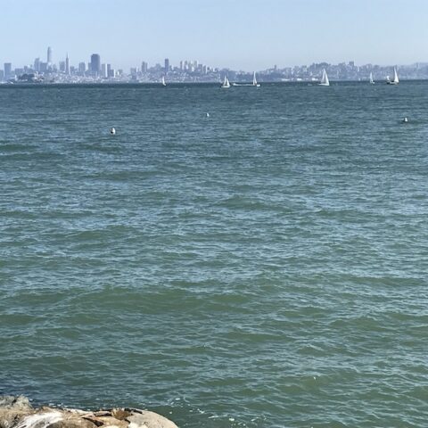 SF on the Bay